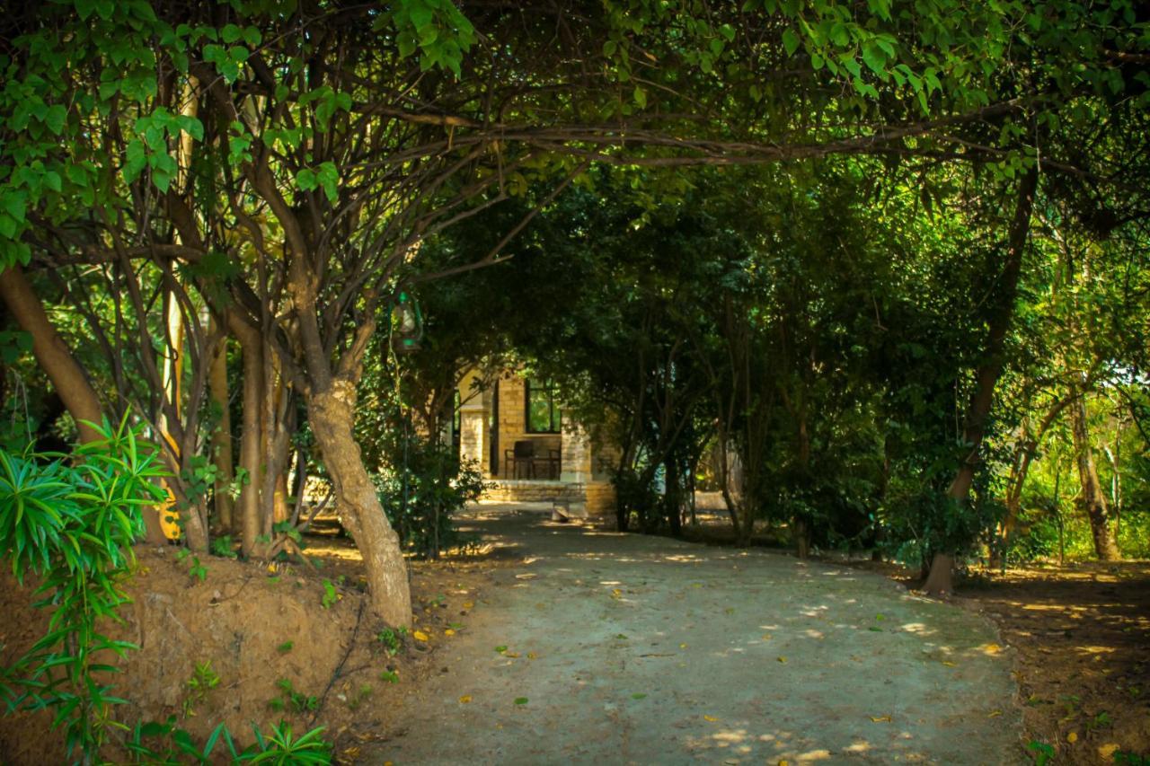 Panna Tiger Resort- Riverside Property Rājgarh Exterior foto